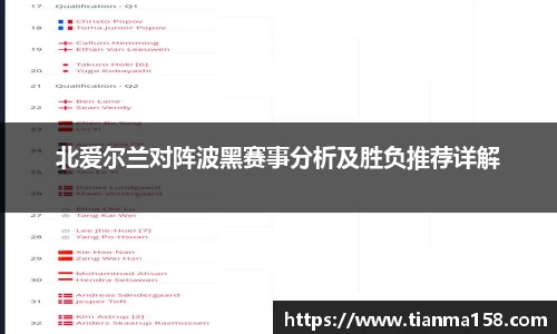 北爱尔兰对阵波黑赛事分析及胜负推荐详解