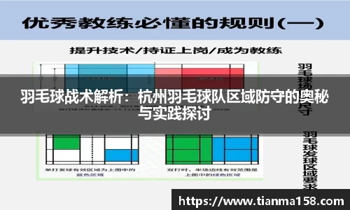 羽毛球战术解析：杭州羽毛球队区域防守的奥秘与实践探讨